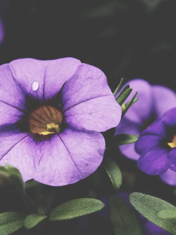 법무법인 위시켓 사무실